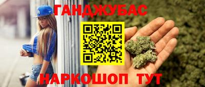 гашик Новозыбков