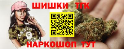 гашик Новозыбков