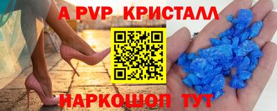 гашик Новозыбков